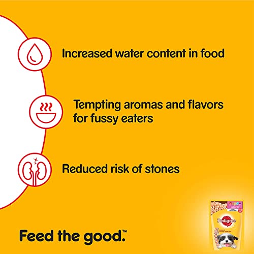 Review Pedigree Puppy Dog Food, Chicken Chunks in Gravy, 70 g (Pack of 15)
