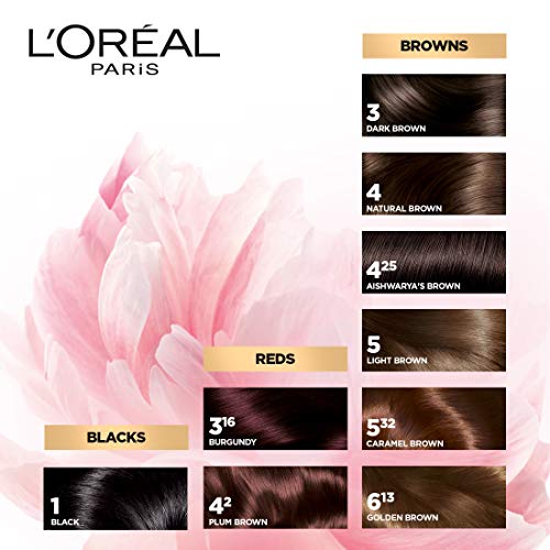 Review L'Oréal Paris Hair Colour, Radiant At-Home Hair Colour with up to 100% Grey Coverage, Excellence Creme, Pack Of 2 , 125g+ 97ml (Black)