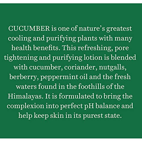 Review Biotique Bio Cucumber Pore Tightening Toner, 120ml