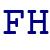 Fiore htfy Rach