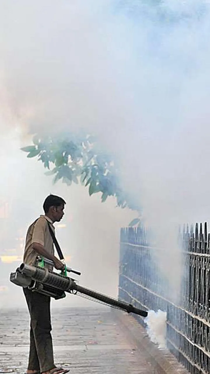 मुंबई में बढ़ रहा डेंगू, मलेरिया